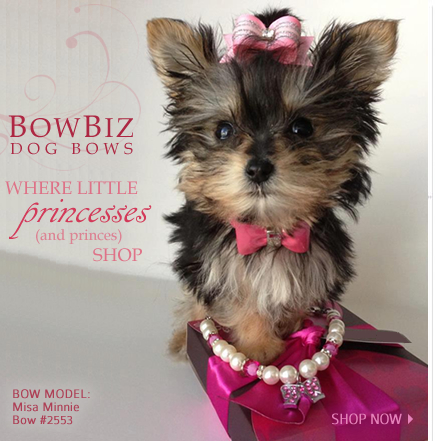 puppy bows for sale